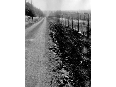 Foto 53